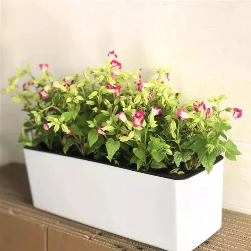 Office Self Watering Plant Flower Pot with Water Level Indicator Garden Balcony Bonsai Planting Pot Flower Planter Decorations